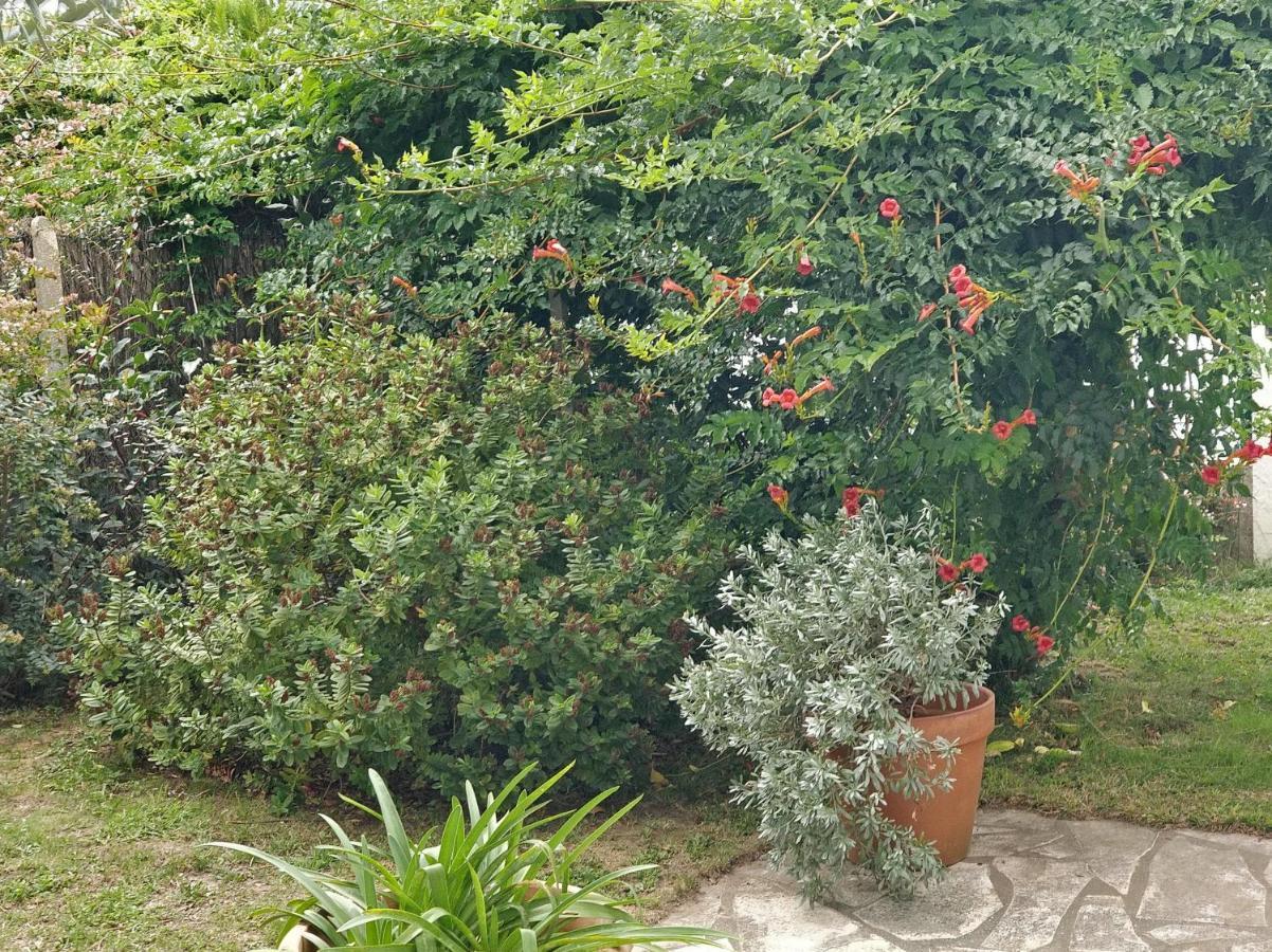 T1 Ou T2 Dans Villa Avec Jardin Proche Biarritz อองเกลต์ ภายนอก รูปภาพ
