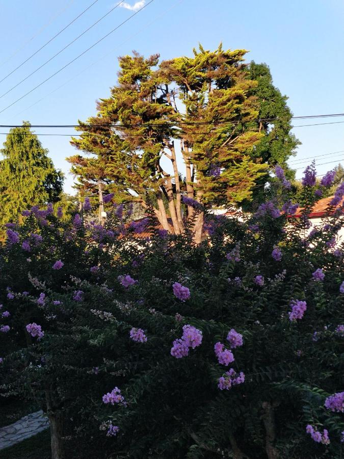 T1 Ou T2 Dans Villa Avec Jardin Proche Biarritz อองเกลต์ ภายนอก รูปภาพ