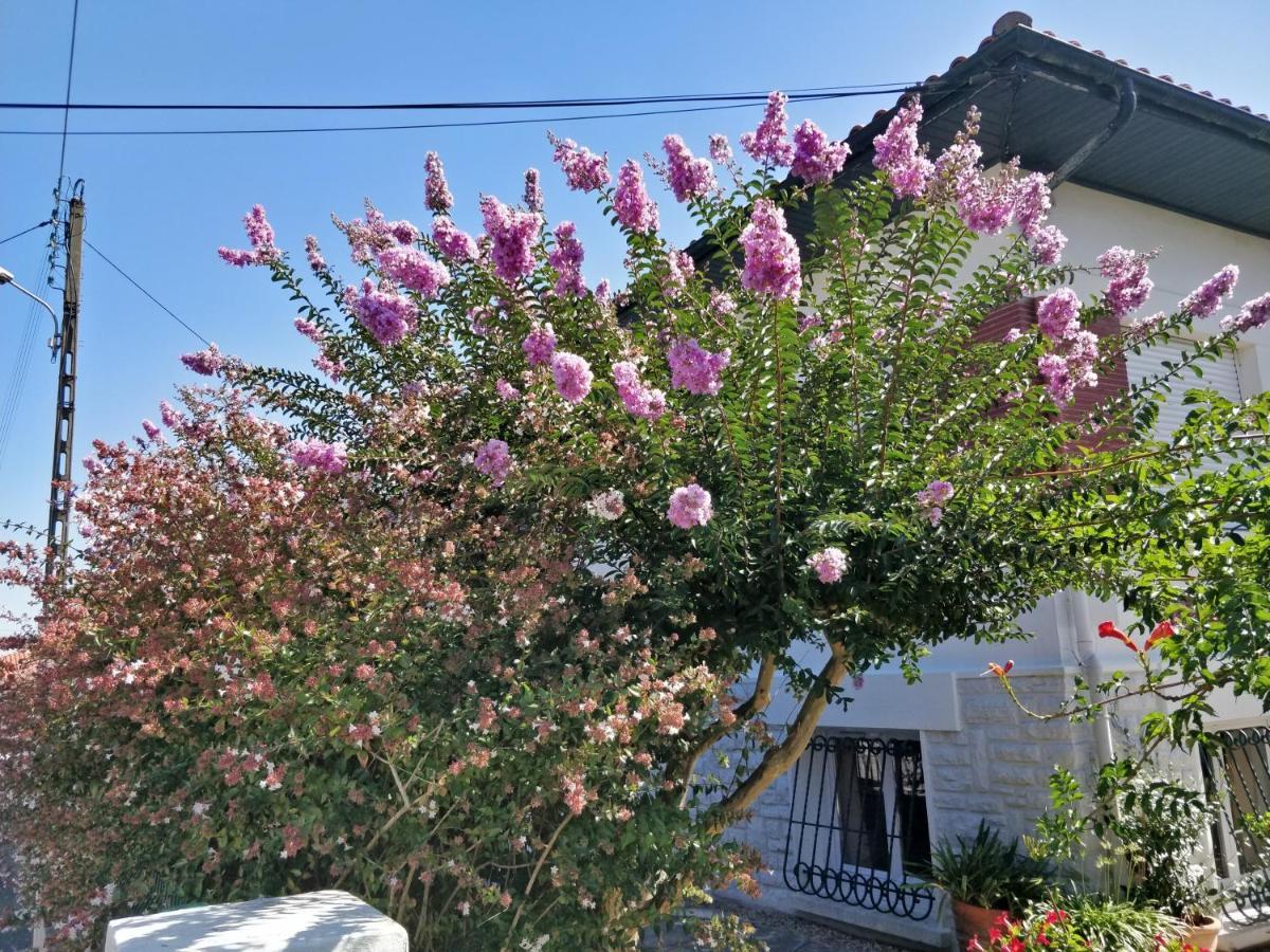 T1 Ou T2 Dans Villa Avec Jardin Proche Biarritz อองเกลต์ ภายนอก รูปภาพ