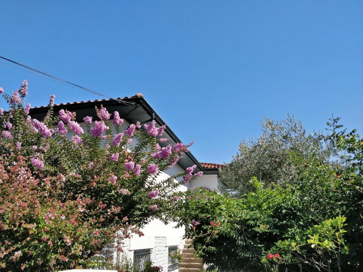 T1 Ou T2 Dans Villa Avec Jardin Proche Biarritz อองเกลต์ ภายนอก รูปภาพ