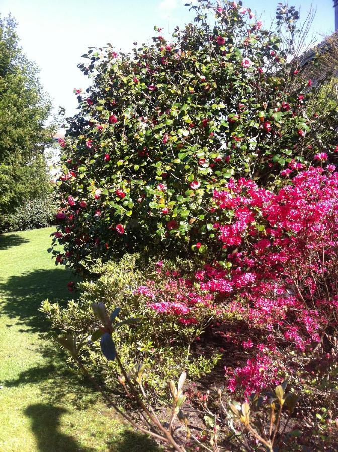 T1 Ou T2 Dans Villa Avec Jardin Proche Biarritz อองเกลต์ ภายนอก รูปภาพ